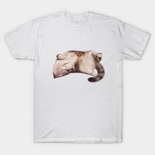 A Playful Loving Half Tabby Chonk T-Shirt